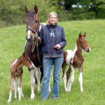 Twin horses with Marnie
