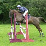 jumping lesson