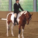 alderfarn dressage