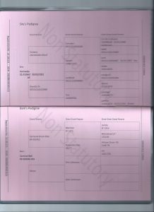 greenvale carma pedigree